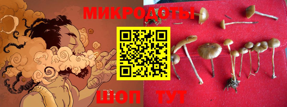 Псилоцибиновые грибы GOLDEN TEACHER Калач-на-Дону