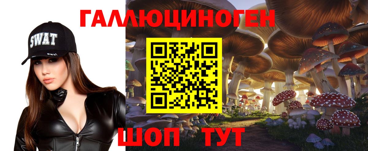 Галлюциногенные грибы Cubensis  Вход с VPN  Калач-на-Дону  Галлюциногенные грибы прущие грибы 
